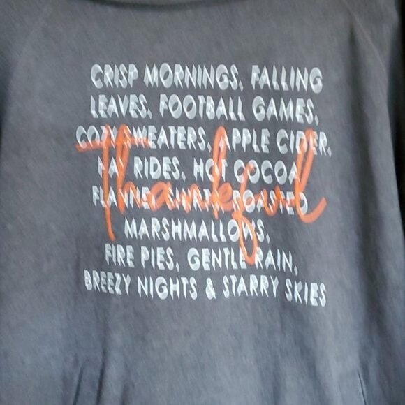 Enza Graphic Fall Graphics "Thankful" Sz XL Gray Unique Collared Hoodie w Pocket - Picture 3 of 7